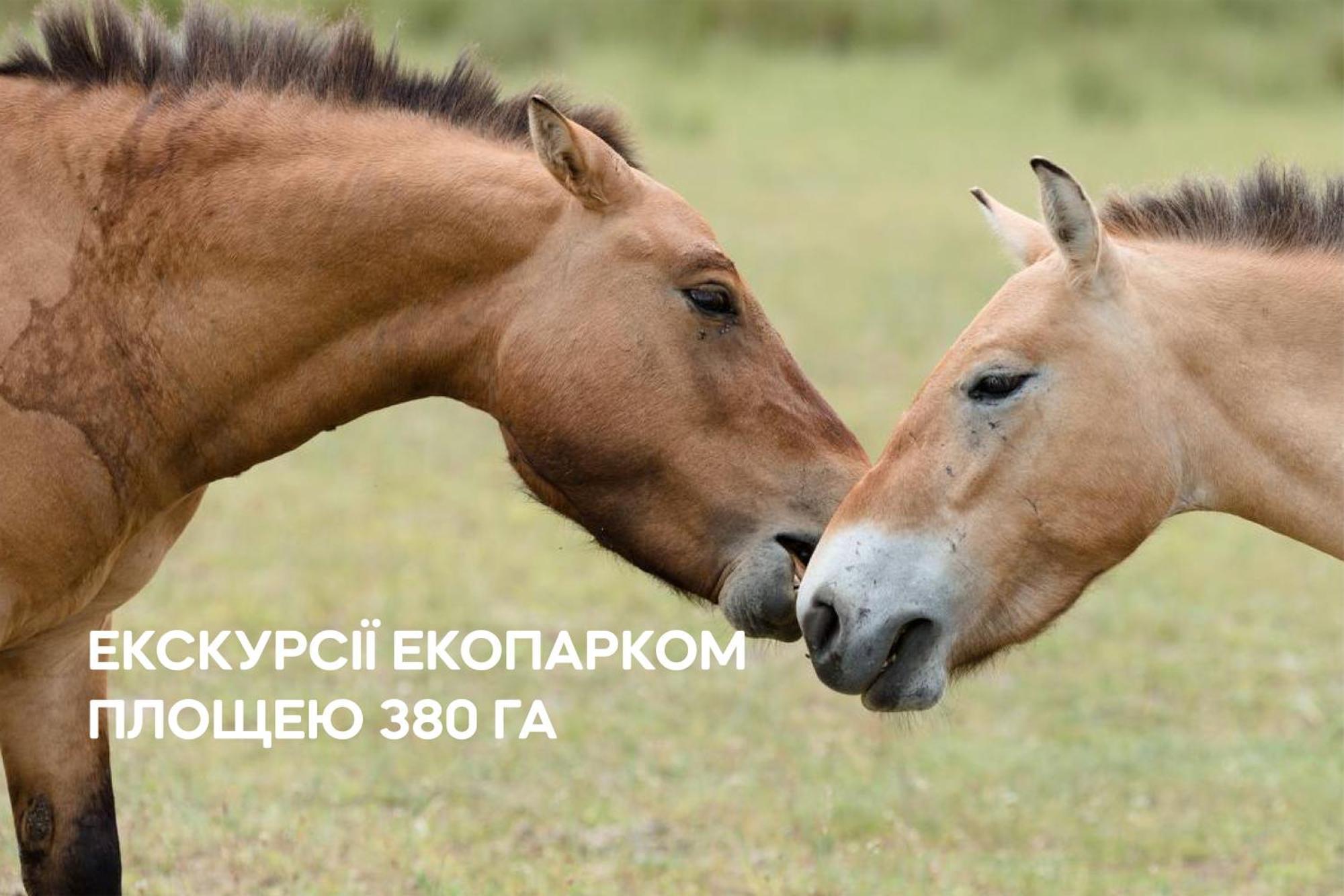 Dereville Sokolovka Exterior foto